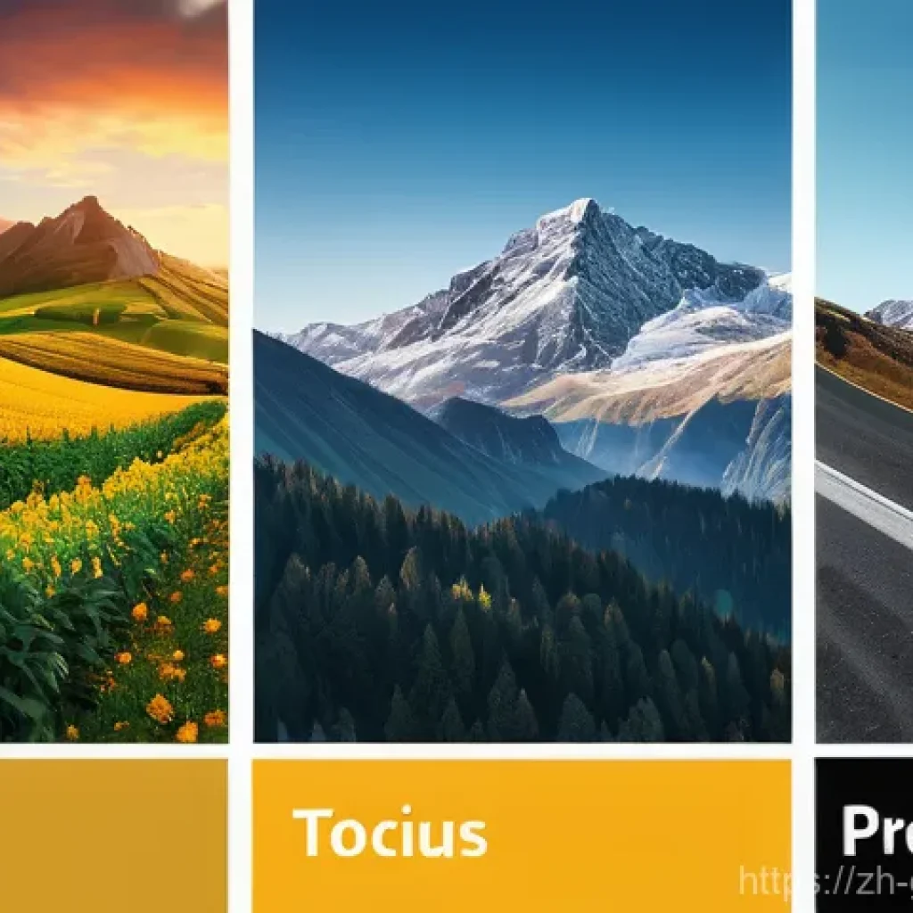 가봉 내 NGO 및 국제 단체 활동 - Here are three detailed image prompts in English, adhering to all your guidelines: