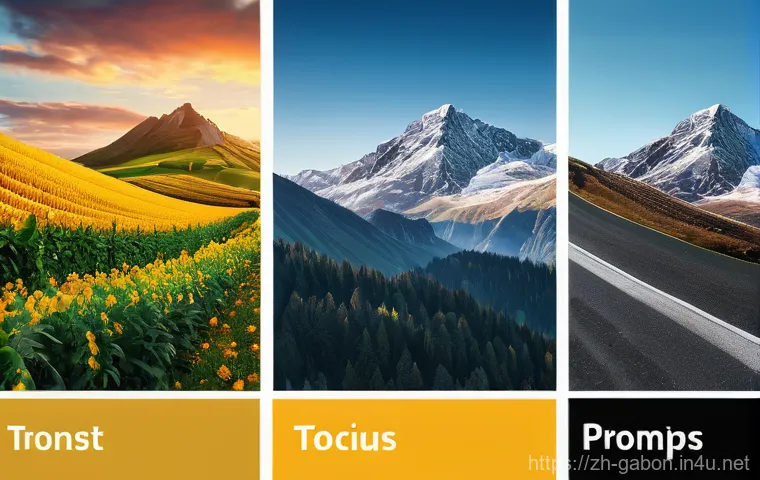 가봉 내 NGO 및 국제 단체 활동 - Here are three detailed image prompts in English, adhering to all your guidelines: